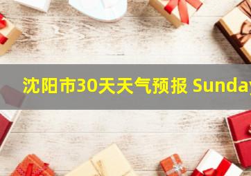 沈阳市30天天气预报 Sunday